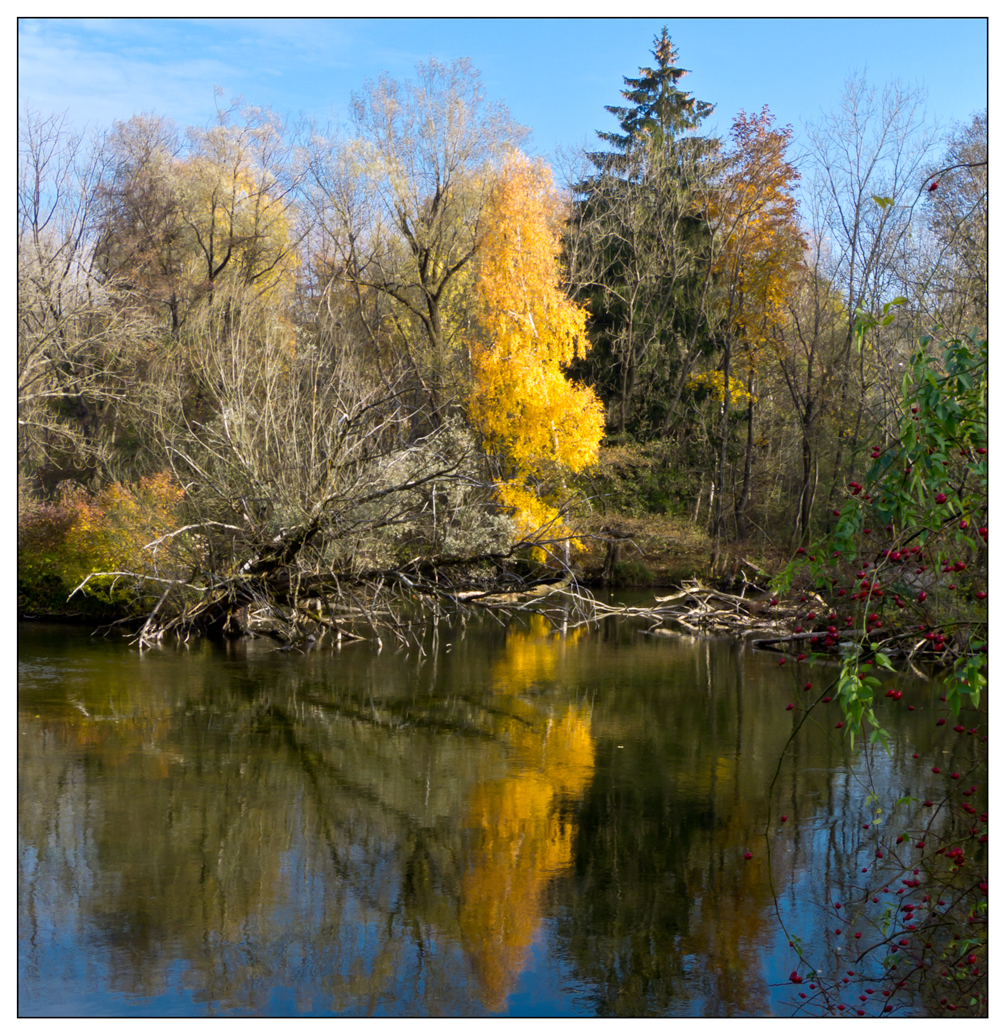 Herbst an der Amper