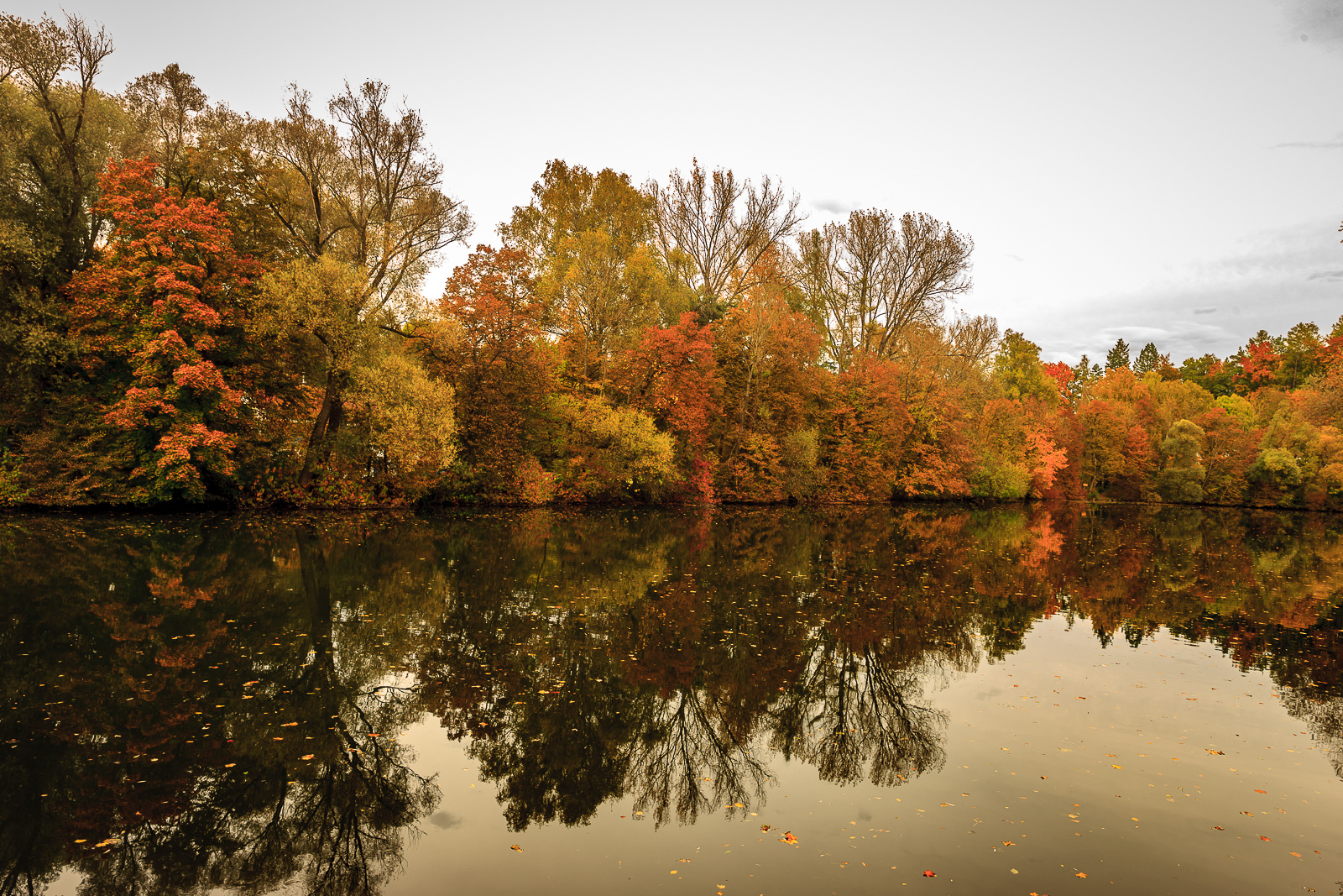 Herbst an der Amper