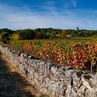 Herbst an der Ardèche