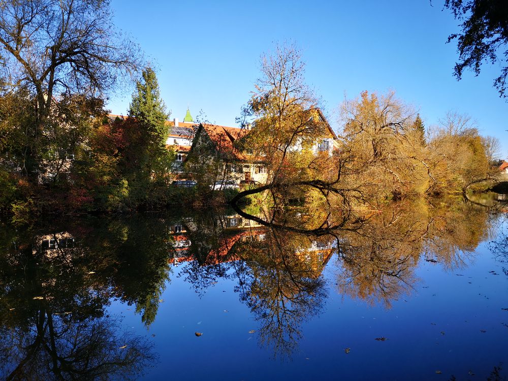 Herbst an der Argen 