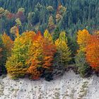 Herbst an der Bach-Abbruchkante