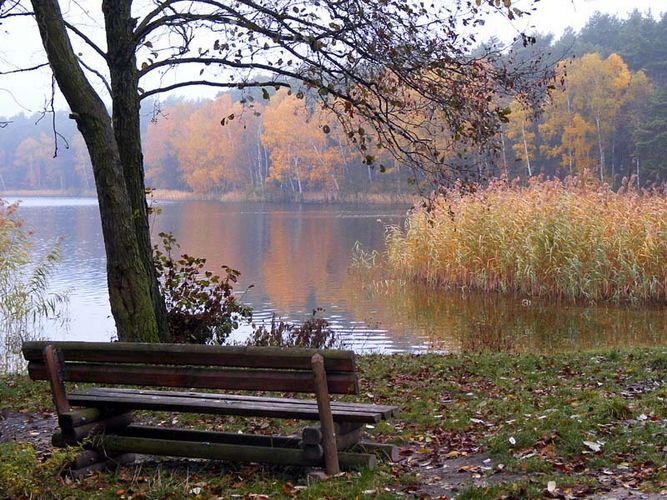 Herbst an der Badestelle