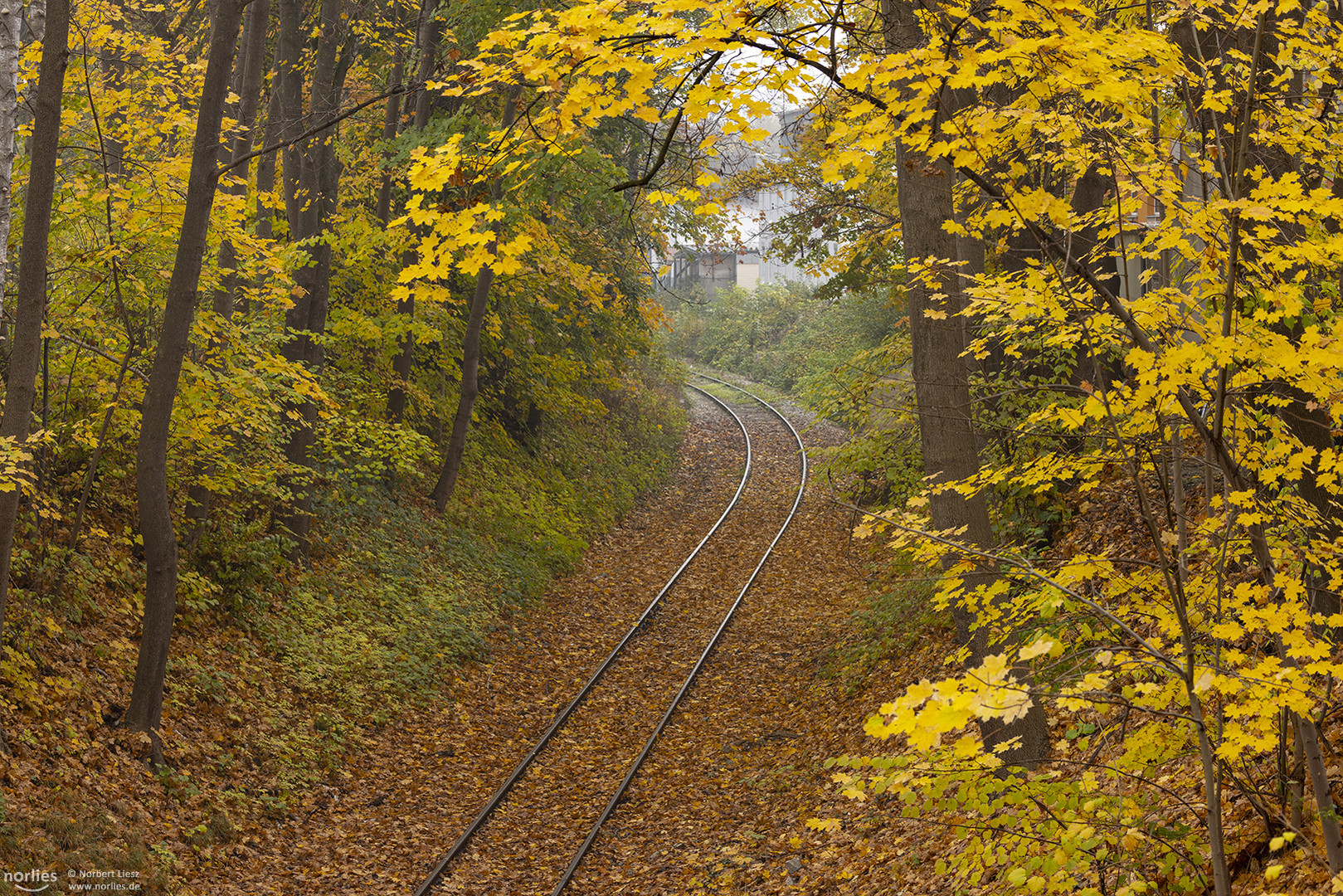 Herbst an der Bahnlinie