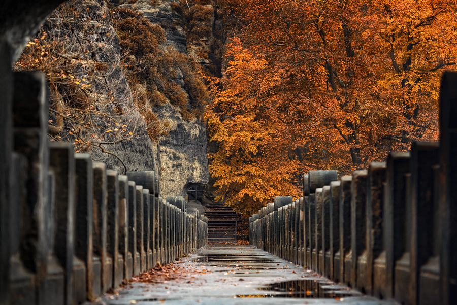 Herbst an der Bastei