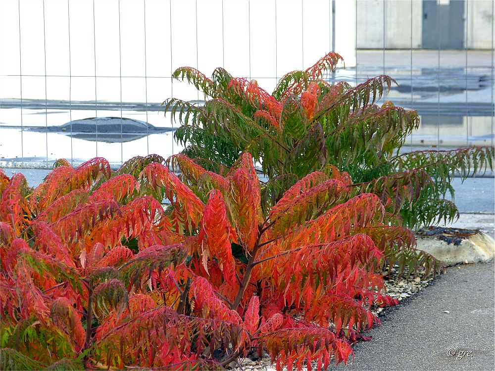 Herbst an der Baustelle