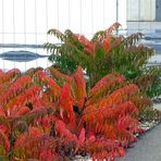 Herbst an der Baustelle