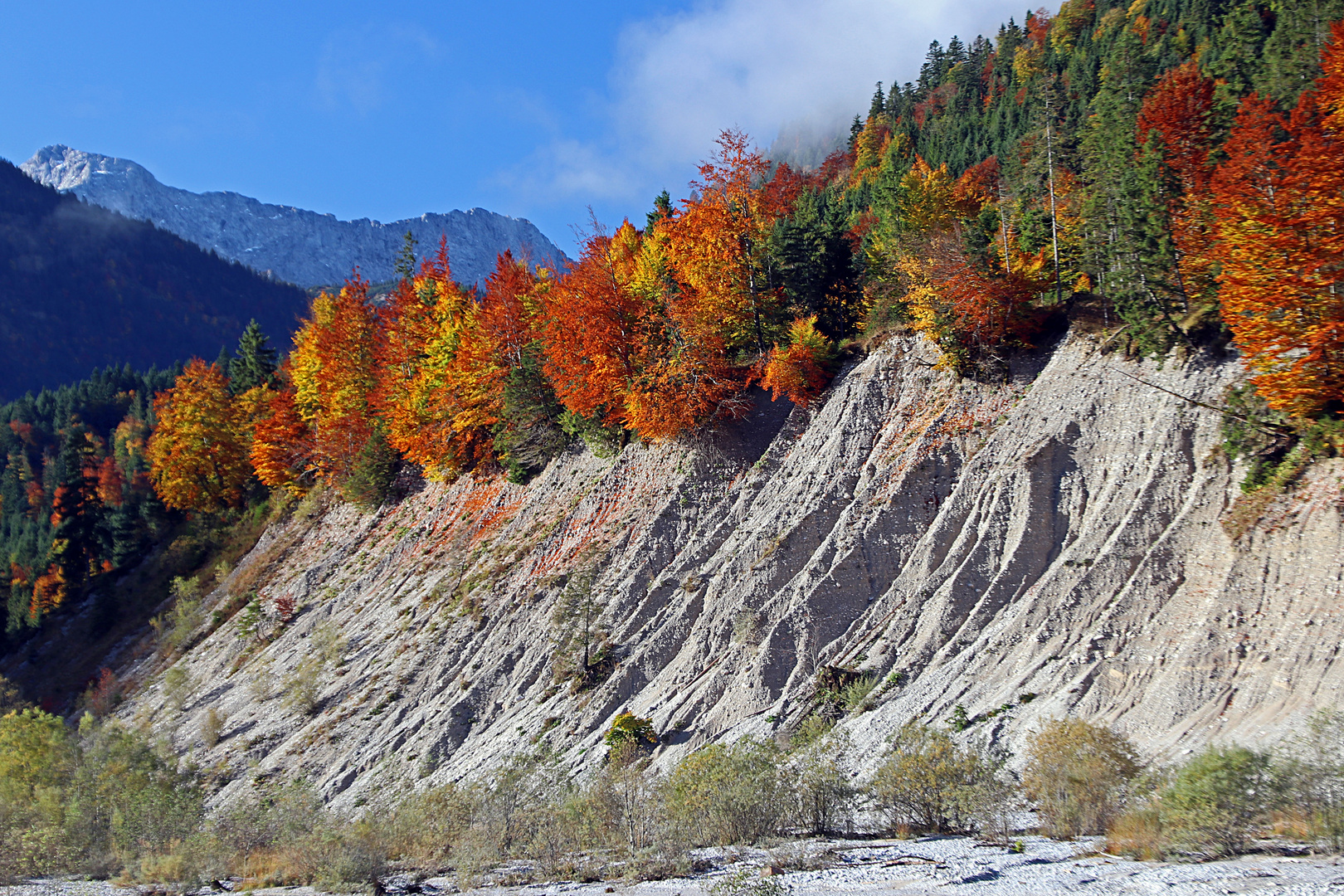 Herbst an der Bergbach-Abbruchkante