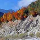 Herbst an der Bergbach-Abbruchkante