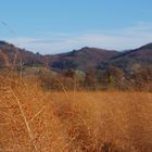 Herbst an der Bergstraße