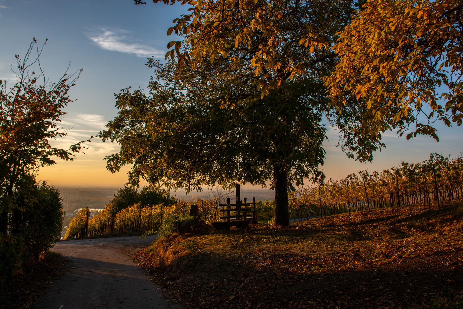 Herbst an der Bergstraße