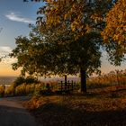 Herbst an der Bergstraße