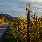 Herbst an der Bergstraße