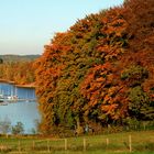 Herbst an der Bever-Talsperre