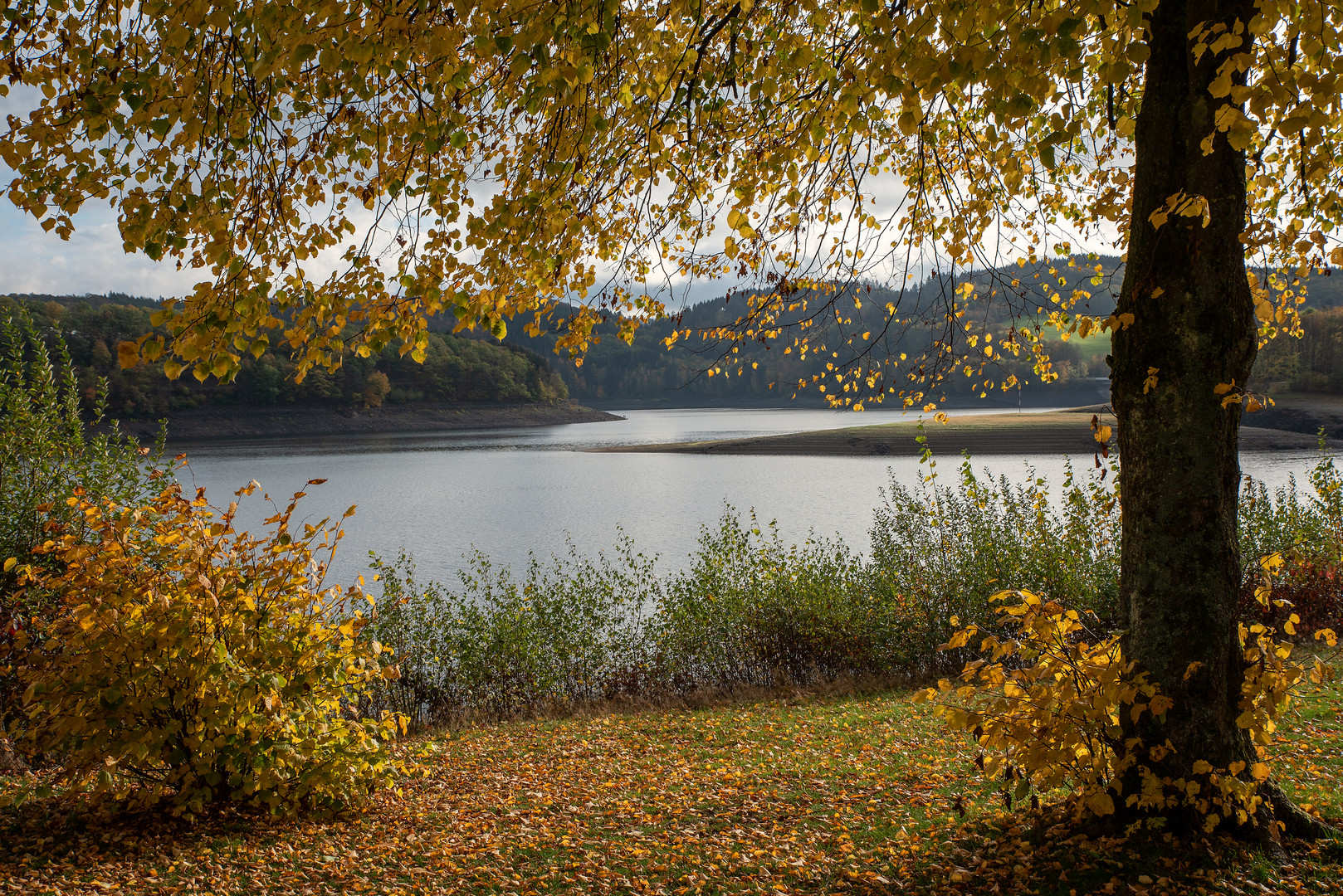 Herbst an der Bigge