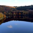 Herbst an der Bigge-Talsperre