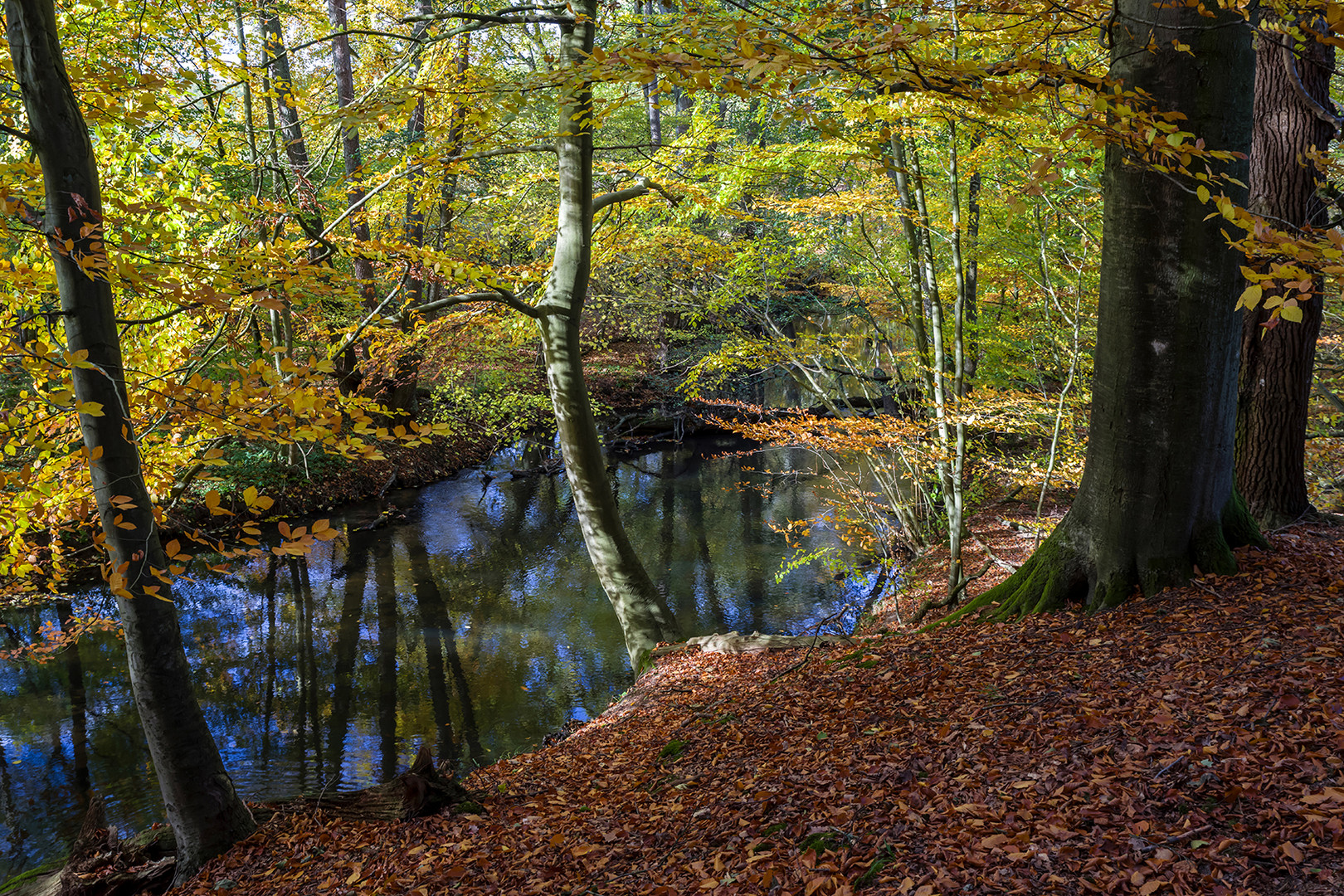 Herbst an der Bille