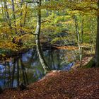 Herbst an der Bille