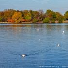 Herbst an der Binnenalster