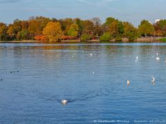 Herbst an der Binnenalster