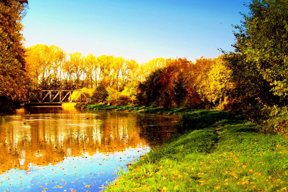 Herbst an der Bode