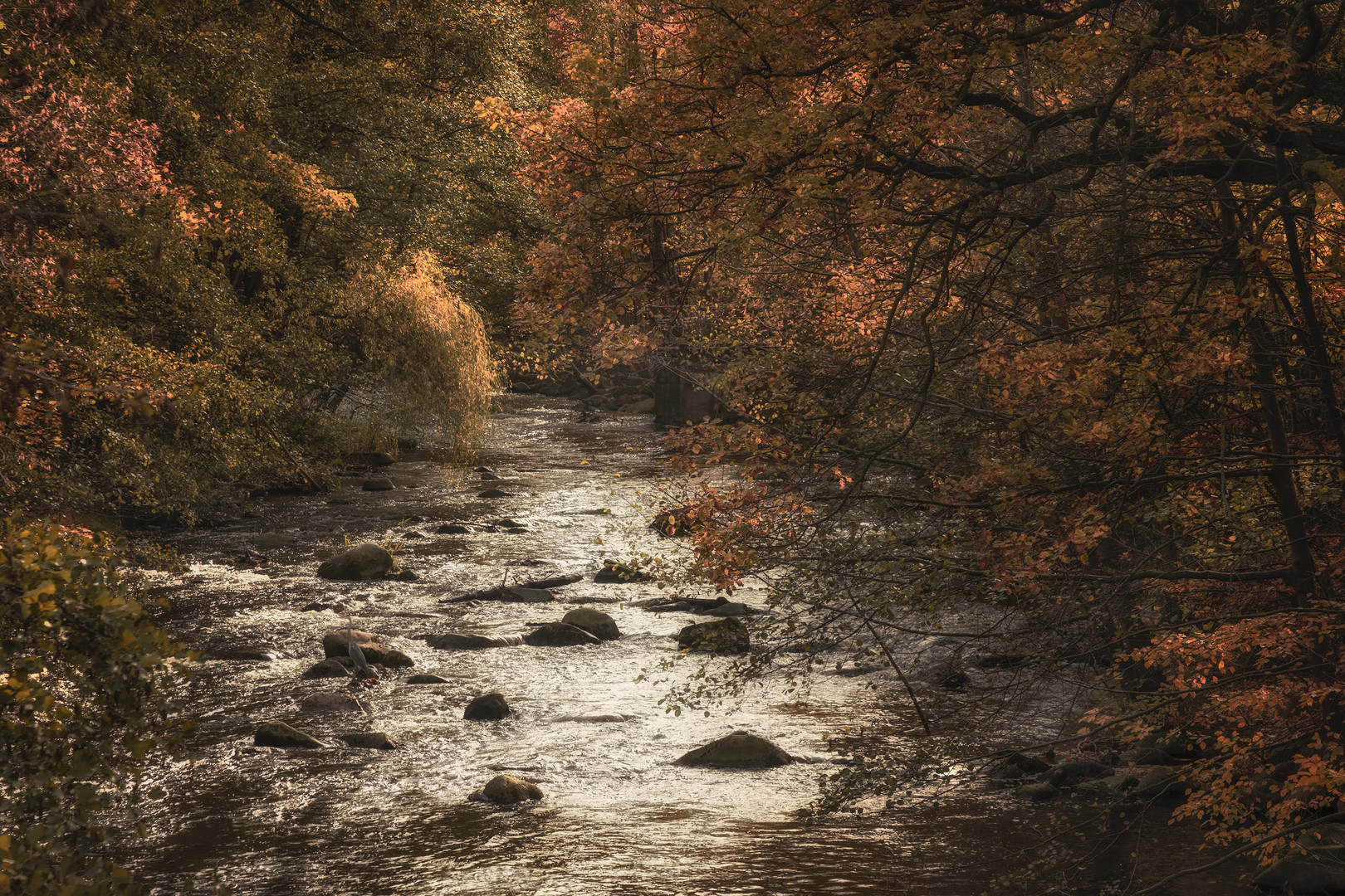 Herbst an der Bode