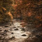 Herbst an der Bode