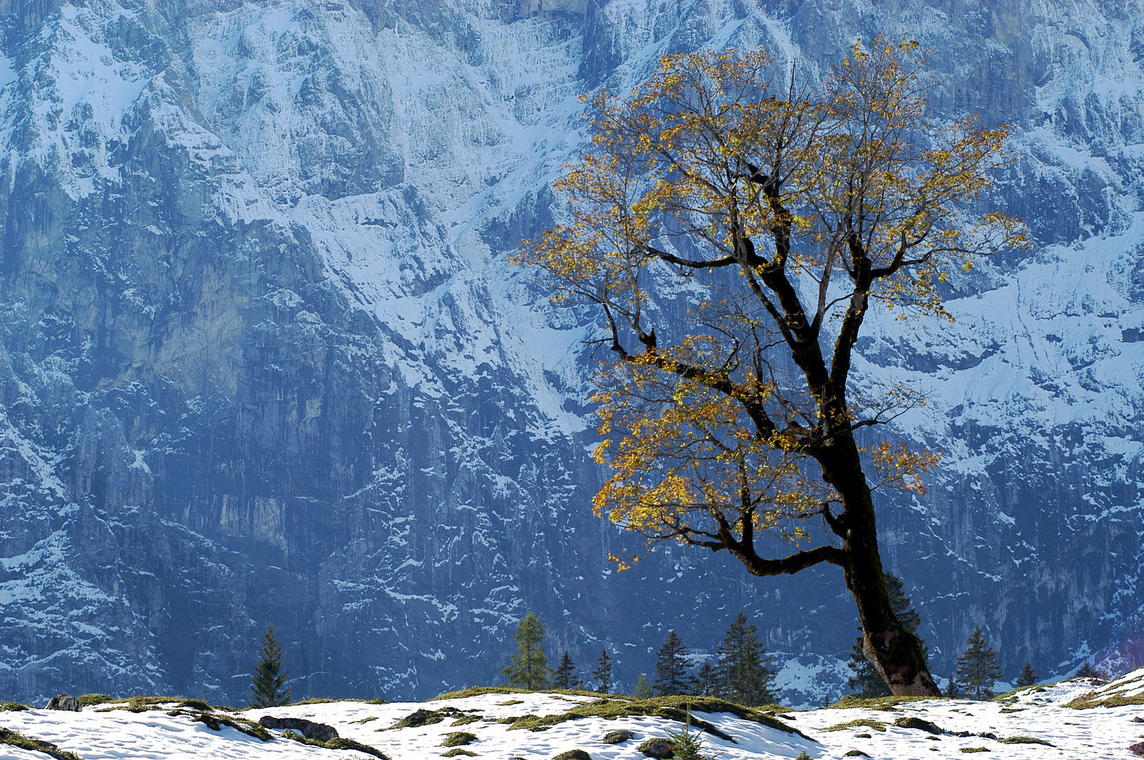 Herbst an der Bodenalm