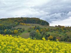 Herbst an der Buchleite