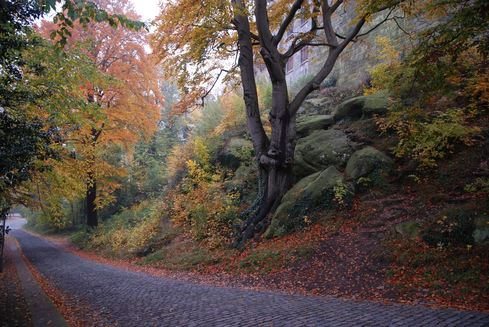 Herbst an der Burg Bentheim