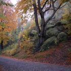 Herbst an der Burg Bentheim