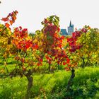 Herbst an der Burgkirche 18