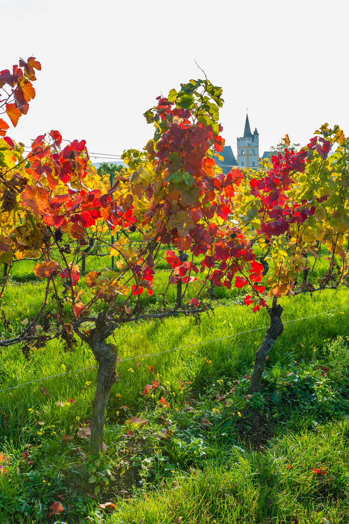 Herbst an der Burgkirche 20