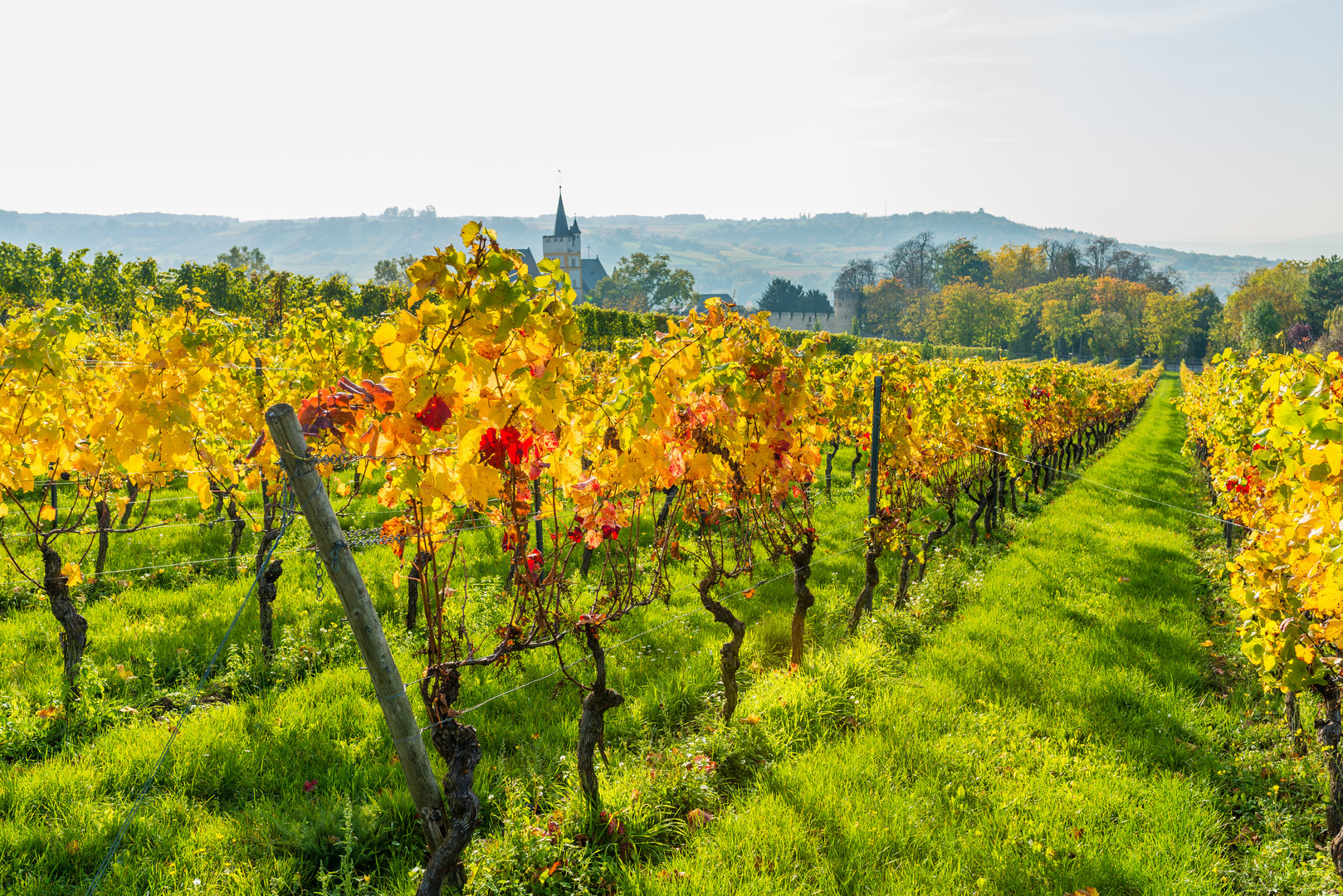 Herbst an der Burgkirche 30