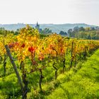 Herbst an der Burgkirche 30