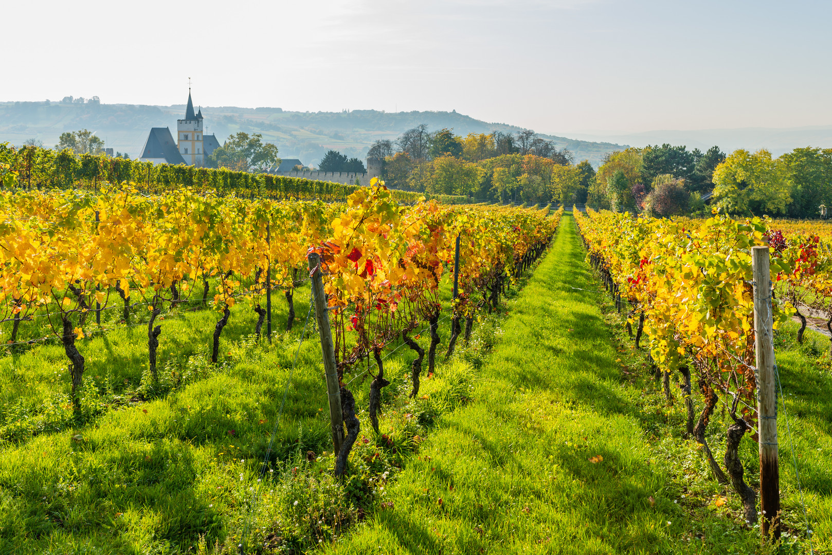 Herbst an der Burgkirche 34