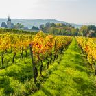 Herbst an der Burgkirche 34