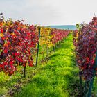 Herbst an der Burgkirche 60