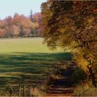 Herbst an der Burgruine Reußenstein.