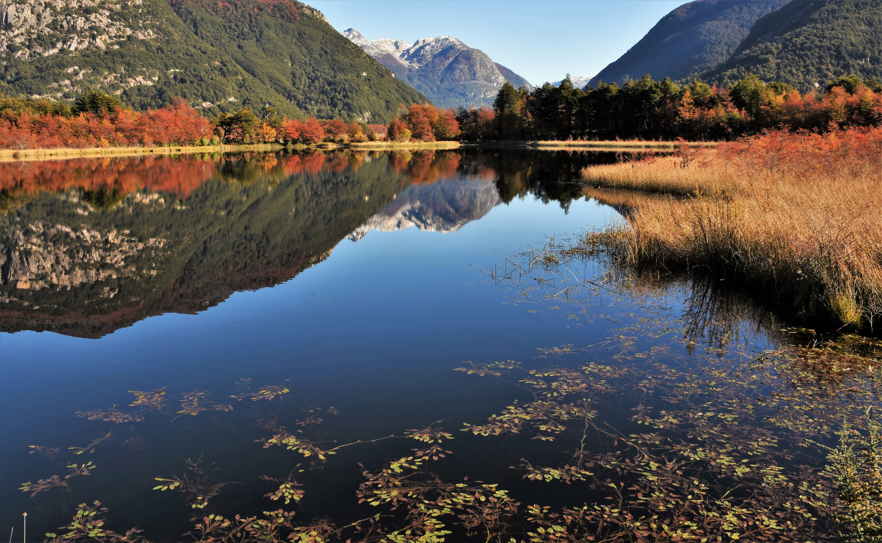 Herbst an der Carretera Austral, Chile