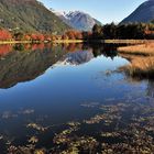 Herbst an der Carretera Austral, Chile