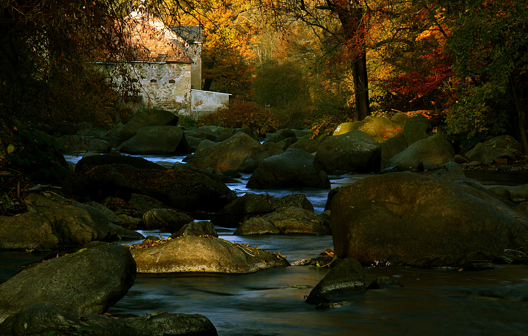 Herbst an der Chemnitz