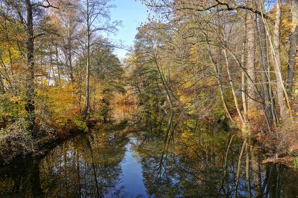 Herbst an der Chemnitz
