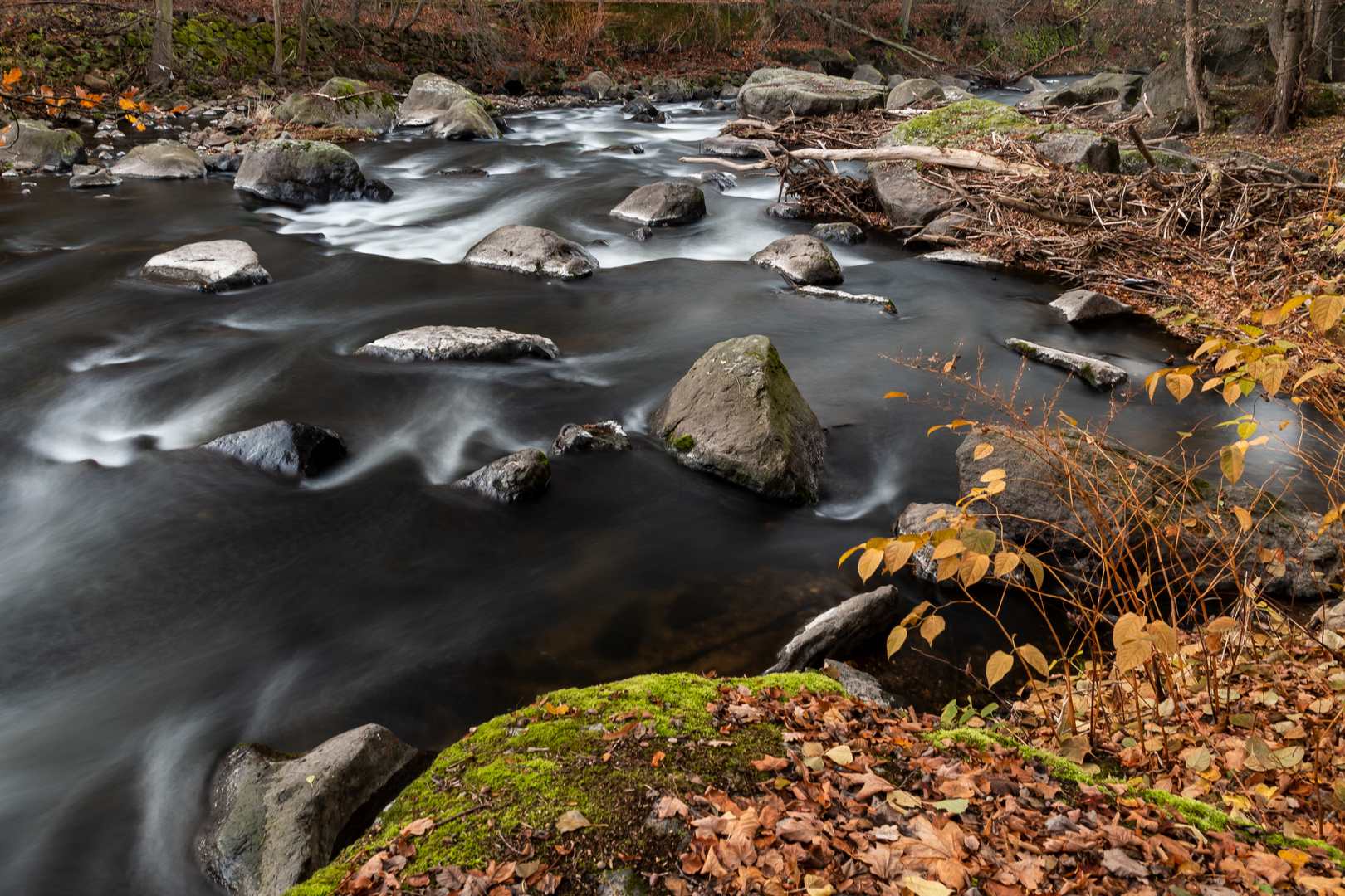 Herbst an der Chemnitz