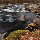 Herbst an der Chemnitz