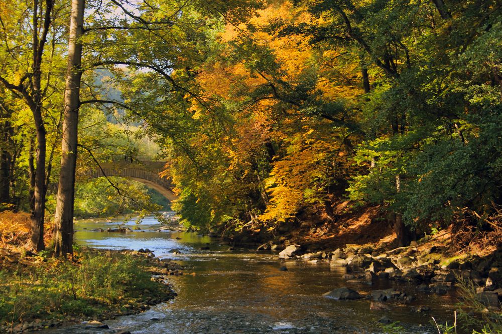 Herbst an der Chemnitz bei Wechselburg