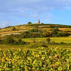 Herbst an der Deutschen Weinstrasse