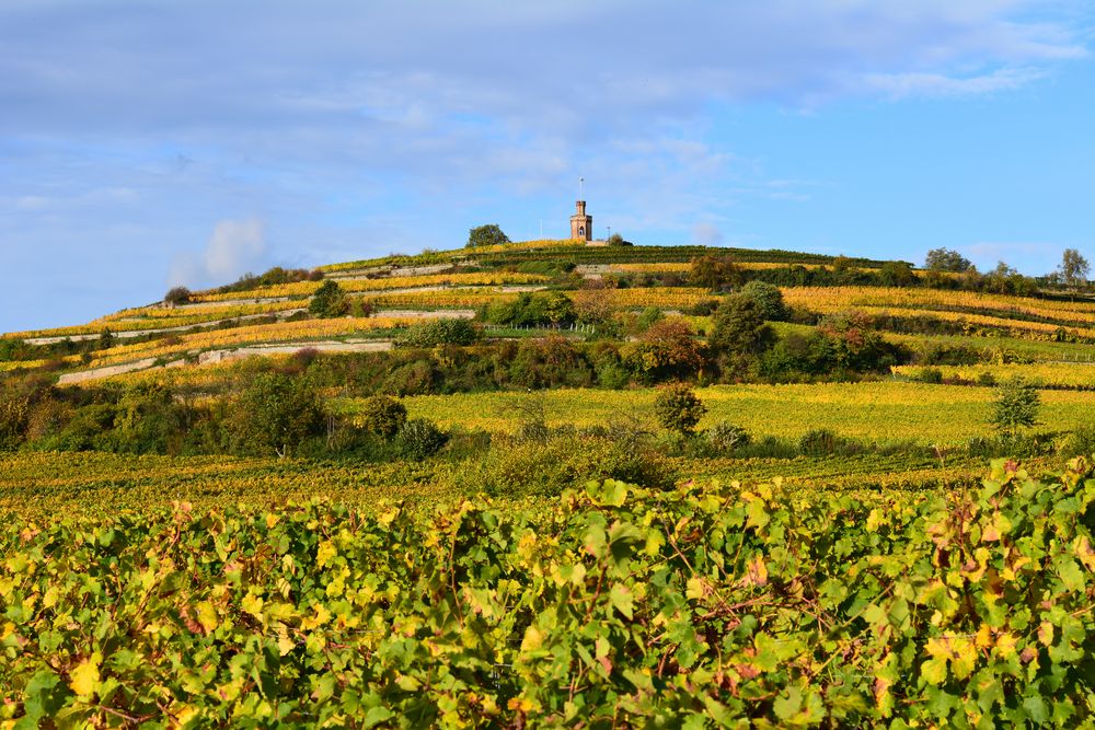 Herbst an der Deutschen Weinstrasse