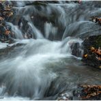 herbst an der dhünn.....