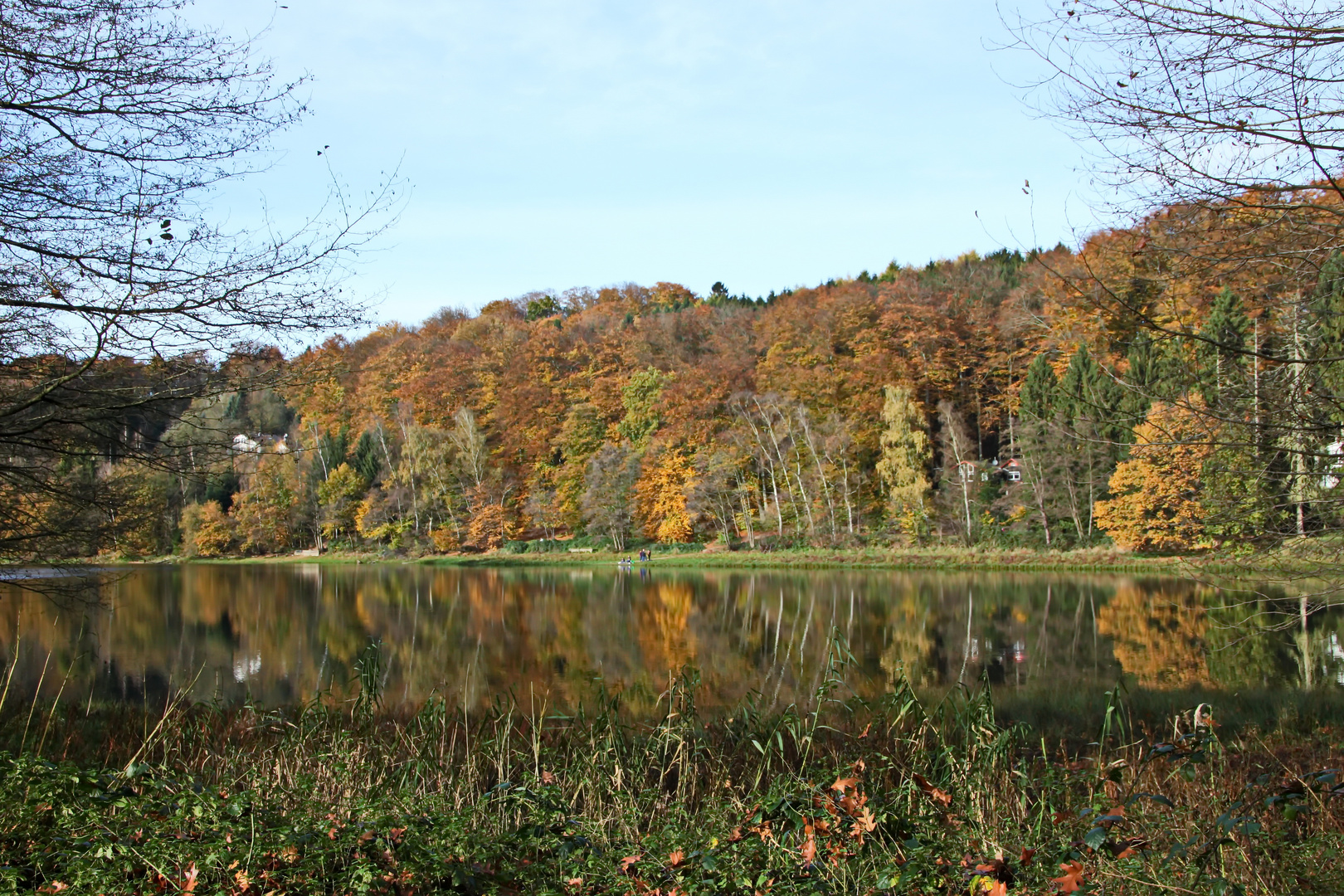 Herbst an der Diepentalsperre