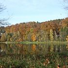 Herbst an der Diepentalsperre